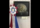 “Yellowbelly” by Daniel Island resident Susan Everitt won The Exchange Club Award at the 2017 Coastal Carolina Fair Senior Fine Art Show.